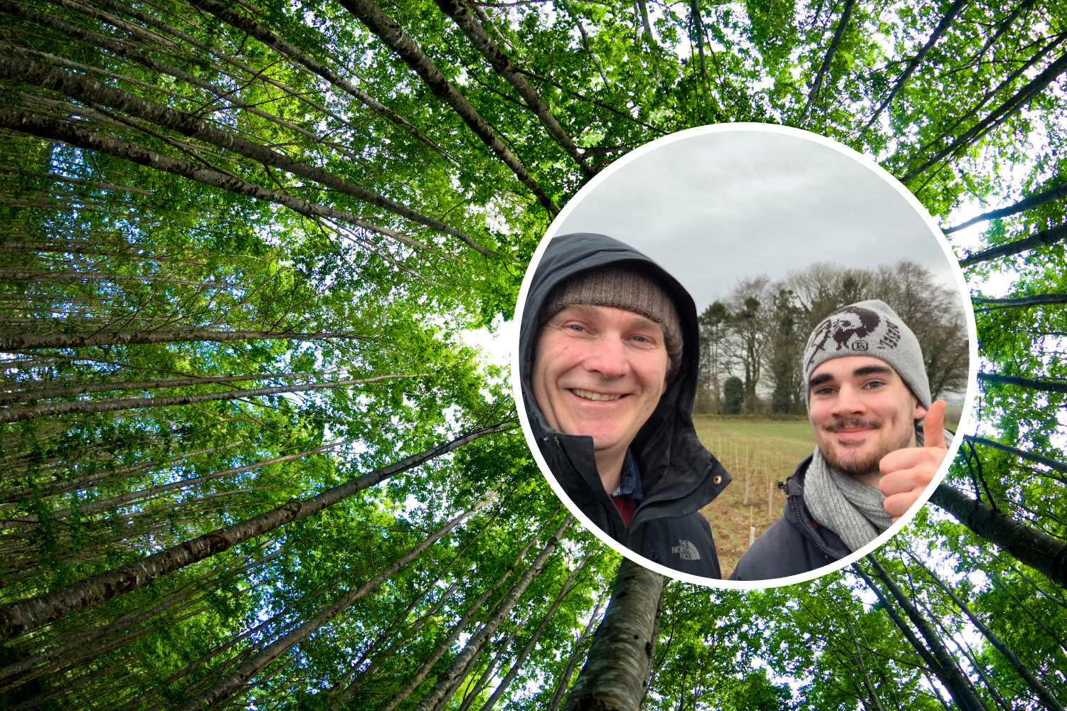 Apprenticeship Case Study: Daniel Burch, Digital Marketing Apprentice at Tree Shop